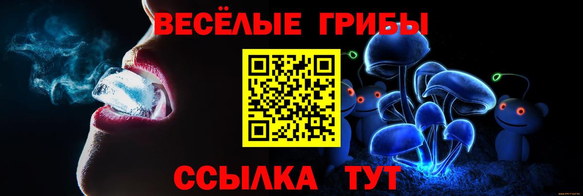 Мелеуз  Псилоцибиновые грибы MAGIC MUSHROOMS  Вход с VPN 
